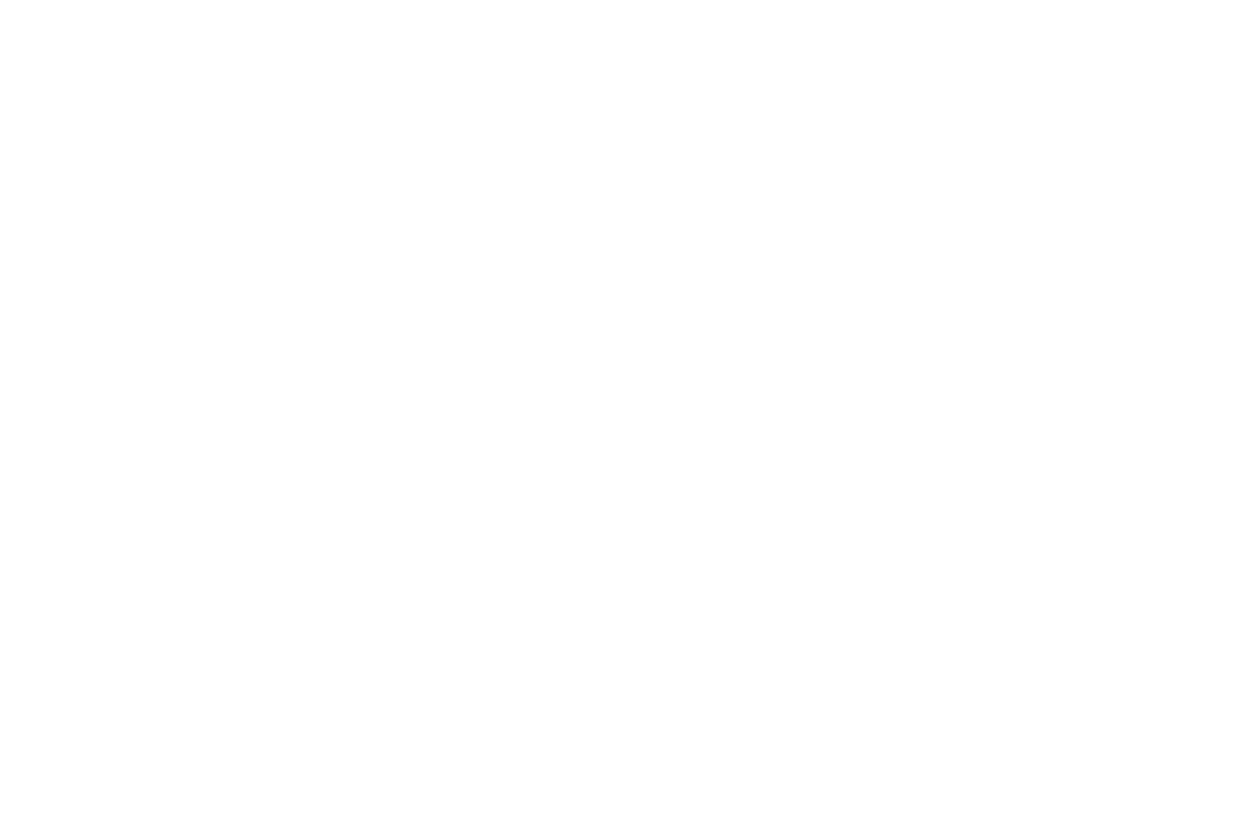 Wall Design Construction Logo